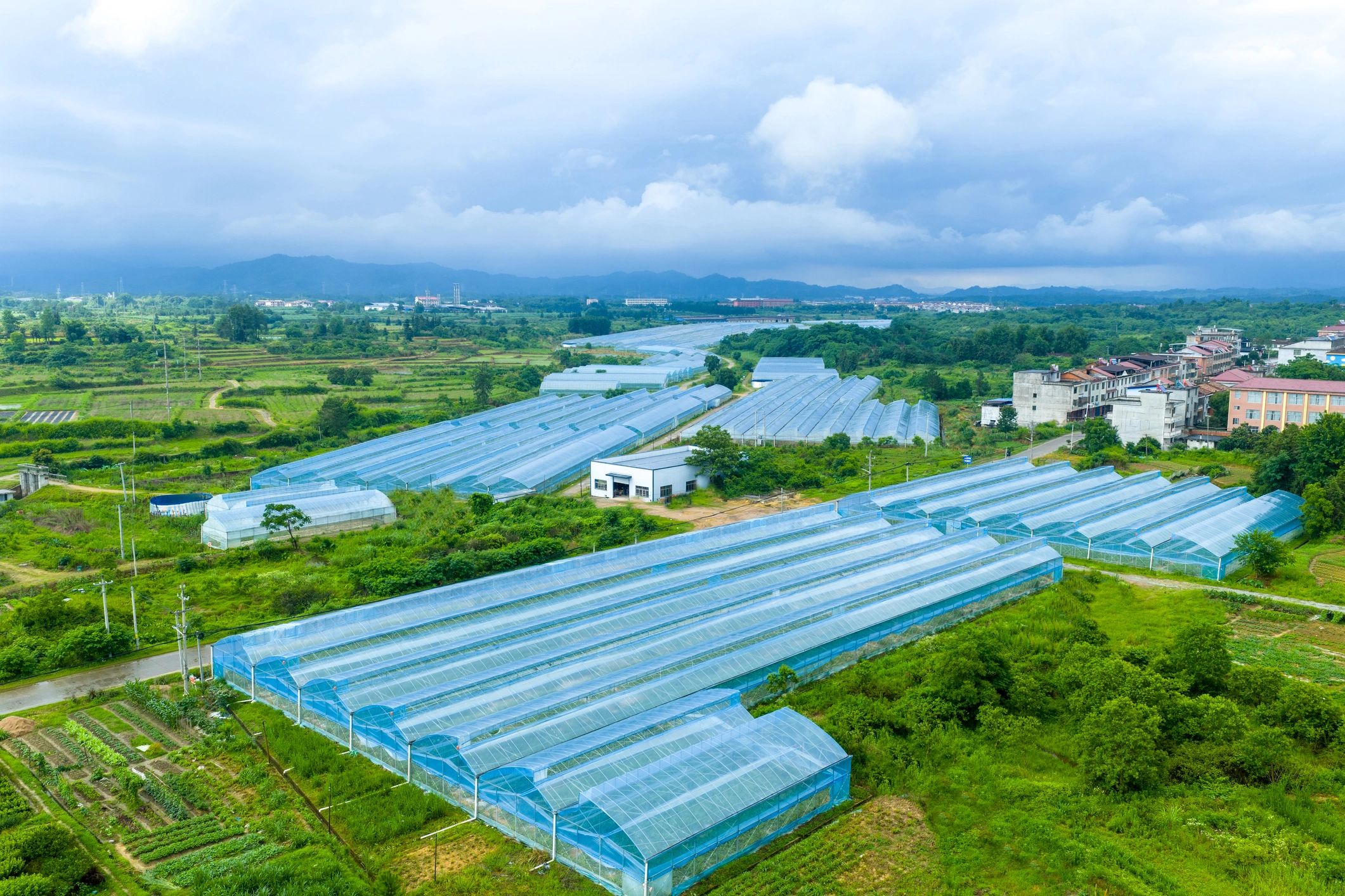 Elevated site planning in a mountainous landscape